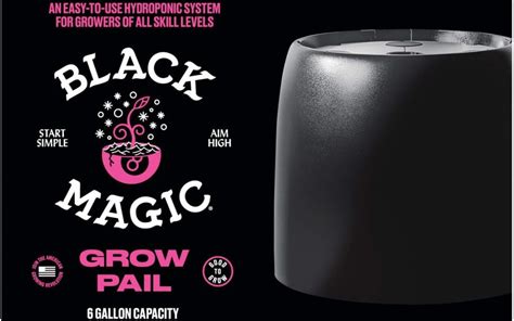 A Beginner's Guide to Black Magic Grow Pails: Everything You Need to Know